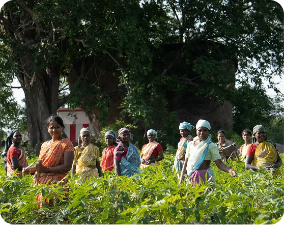 Community members walking together through green farmland